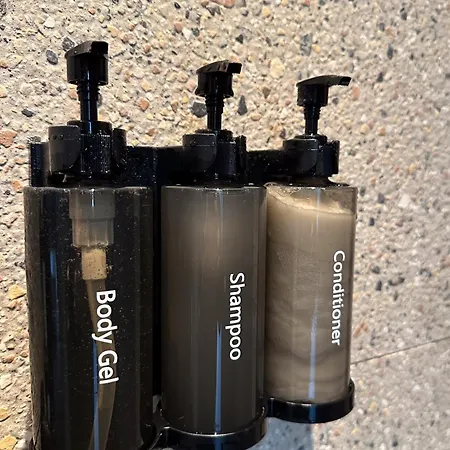 Oasis *