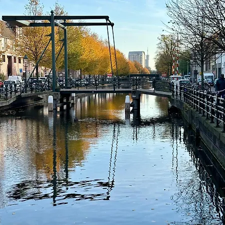 Oasis * Den Haag